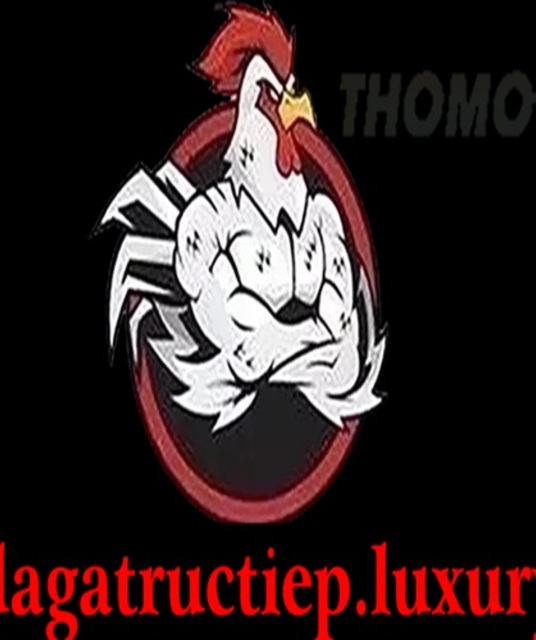avatar ĐÁ GÀ TRỰC TIẾP LUXURY