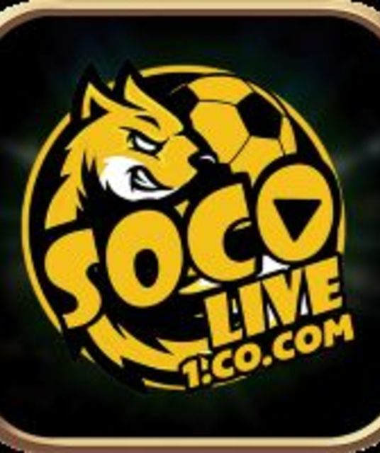avatar socolive1cocom