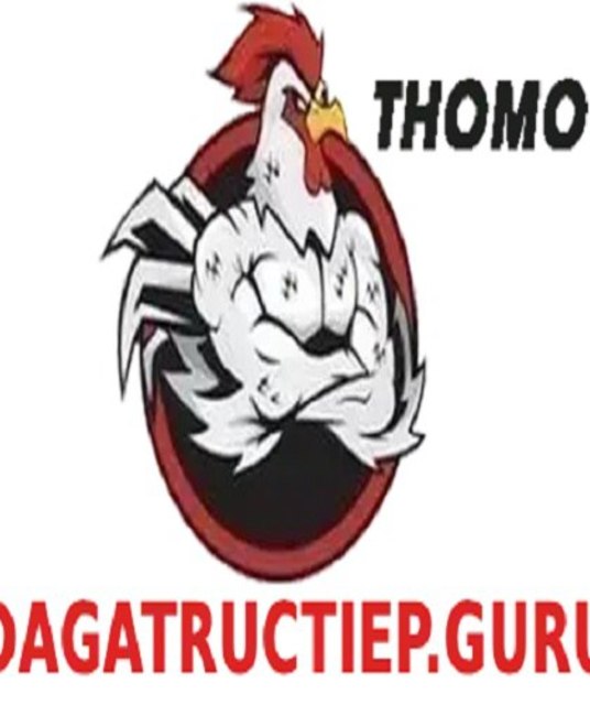 avatar Đá Gà Trực Tiếp Guru