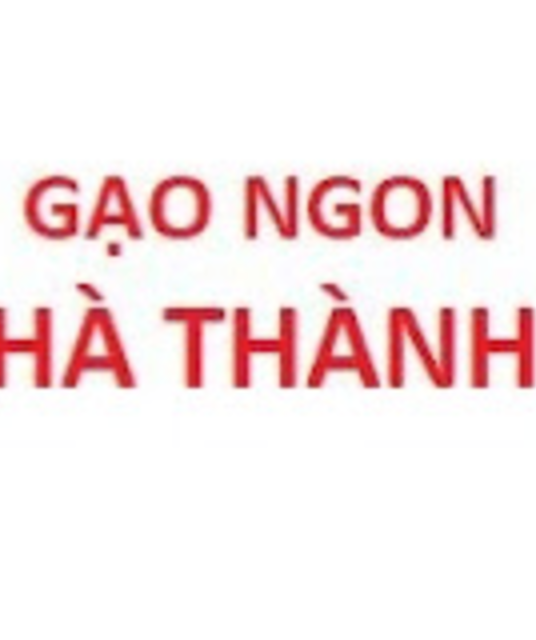 avatar Gạo ST25 Chính hãng