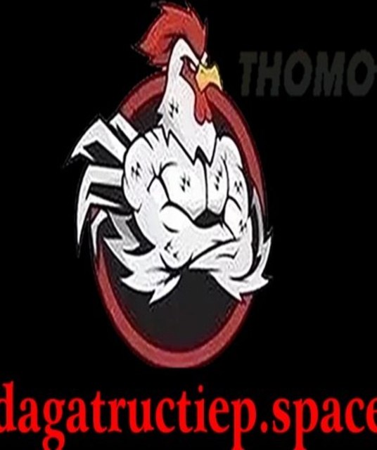 avatar ĐÁ GÀ TRỰC TIẾP SPACE