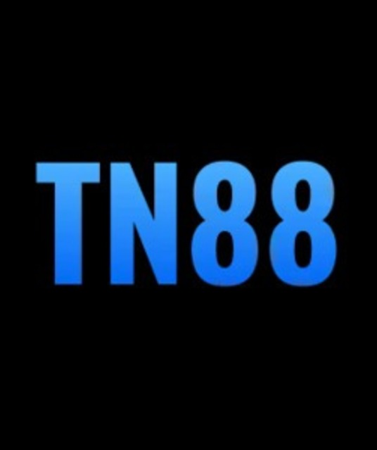 avatar dtn88com
