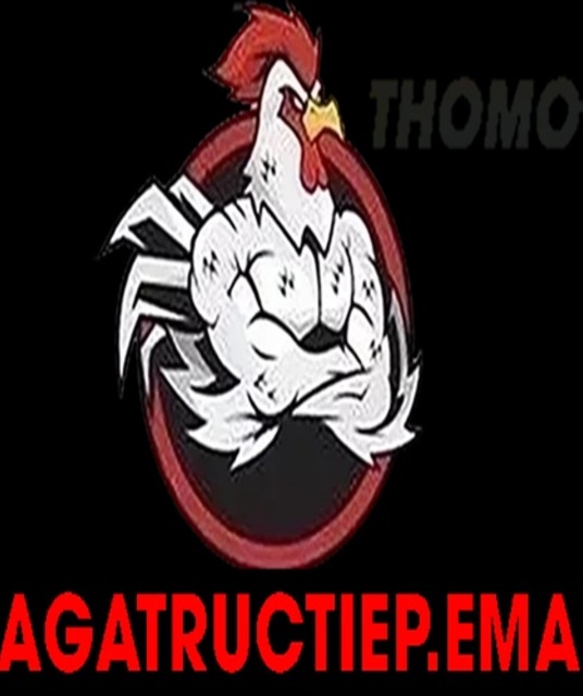 avatar Đá gà trực tiếp