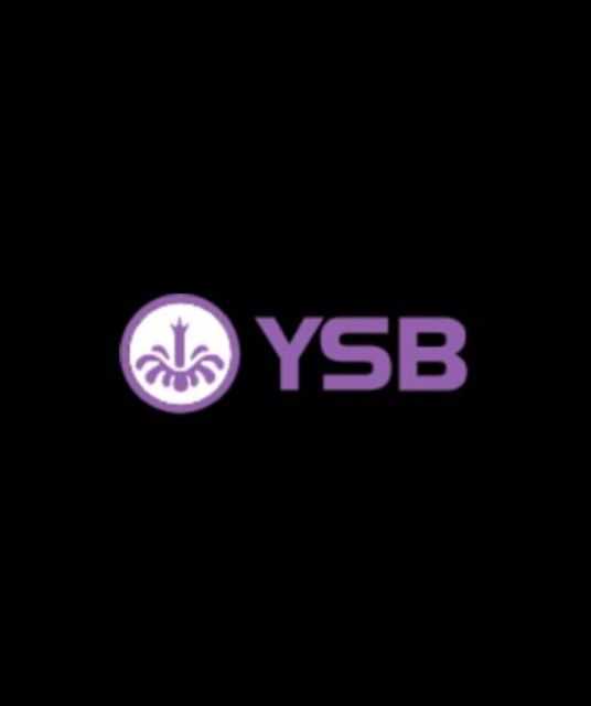 avatar ysb66aorg