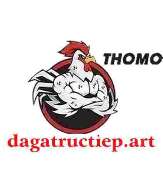 avatar ĐÁ GÀ TRỰC TIẾP ART