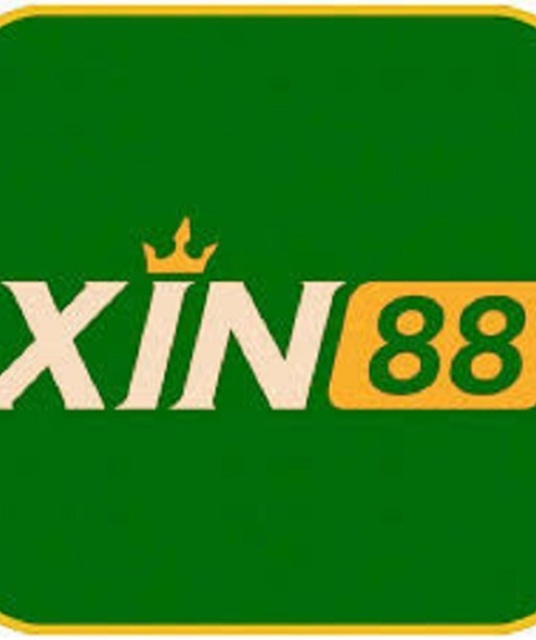 avatar Xin88 