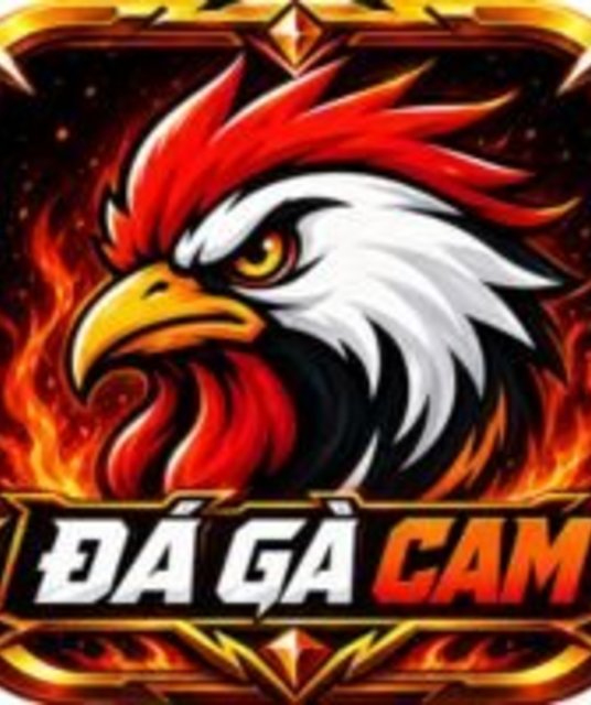 avatar ĐÁ GÀ CAM