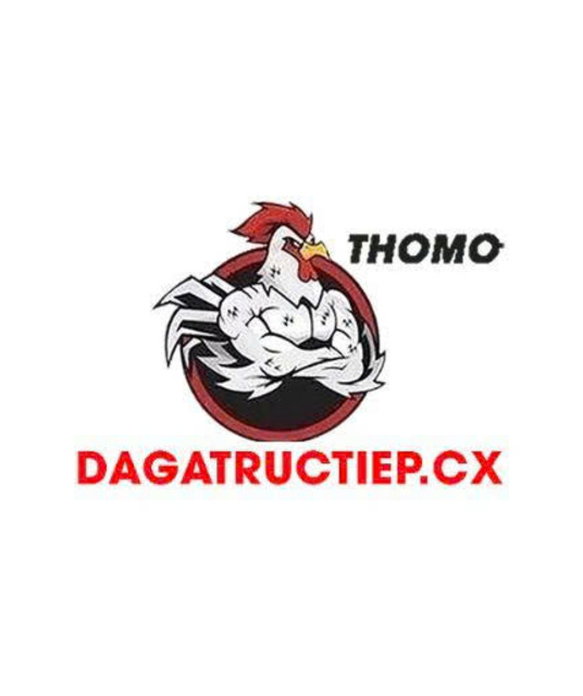 avatar ĐÁ GÀ TRỰC TIẾP CX