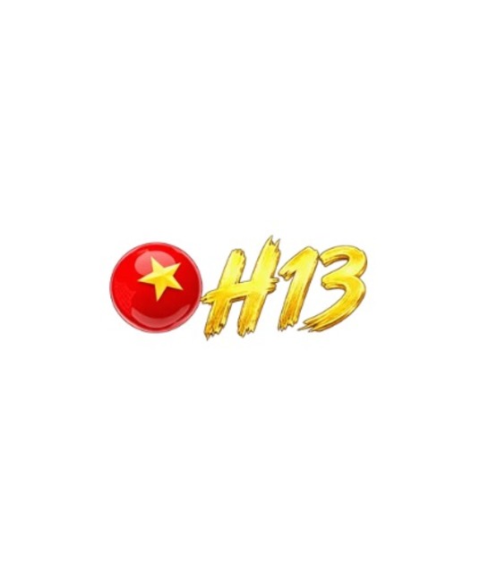 avatar H13social