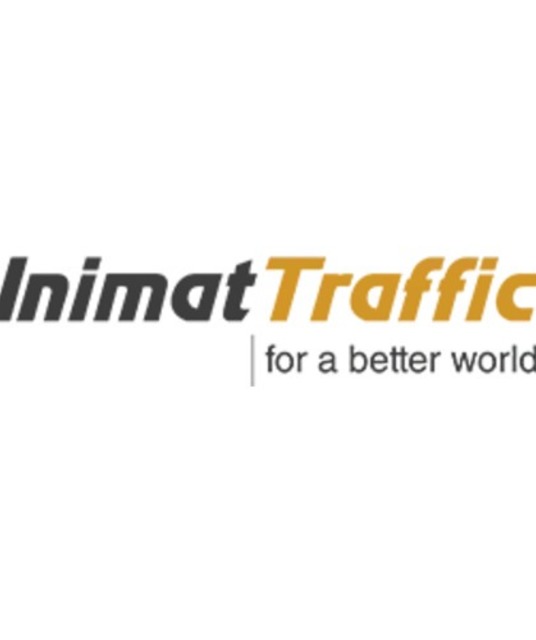 avatar unimattraffic1