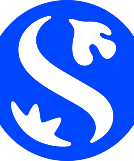avatar Shinhan Finance
