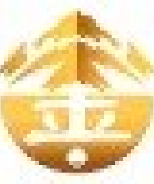 avatar 金山 娛樂