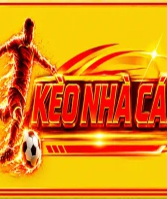 avatar keonhacaihotbiz