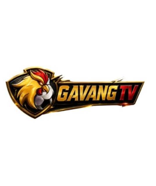 avatar gavangtvicu
