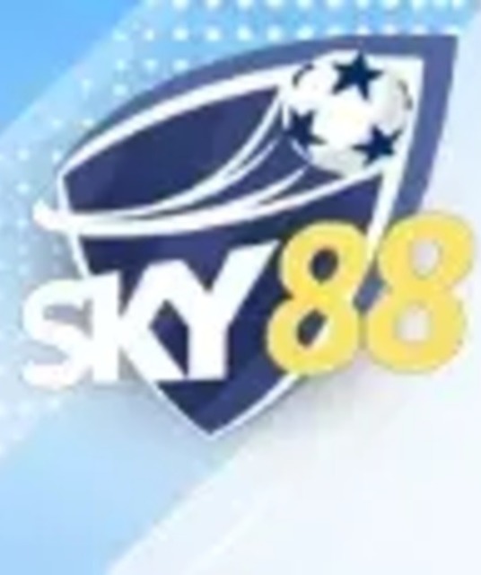 avatar nhà cái sky88