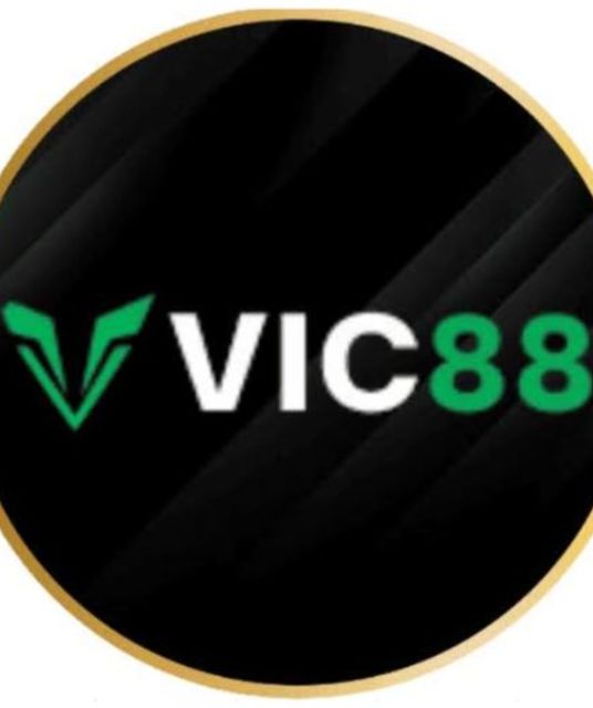 avatar vic88codes