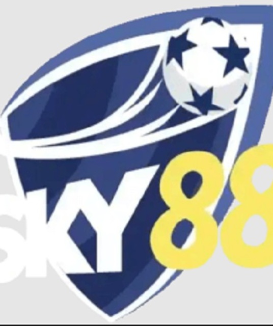 avatar linksky88online