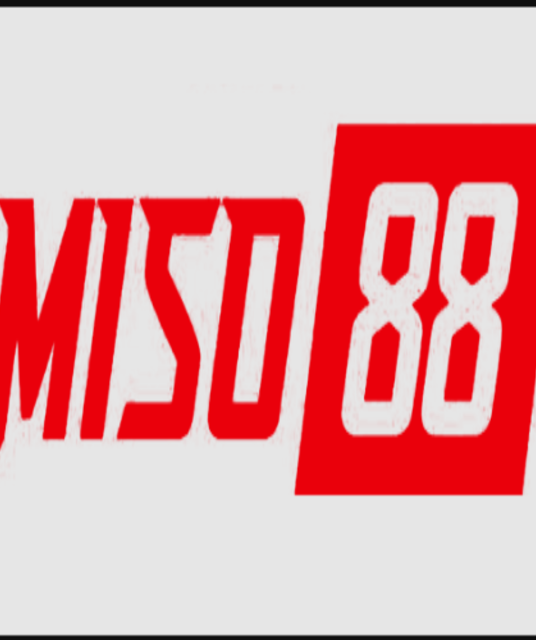 avatar MISO88