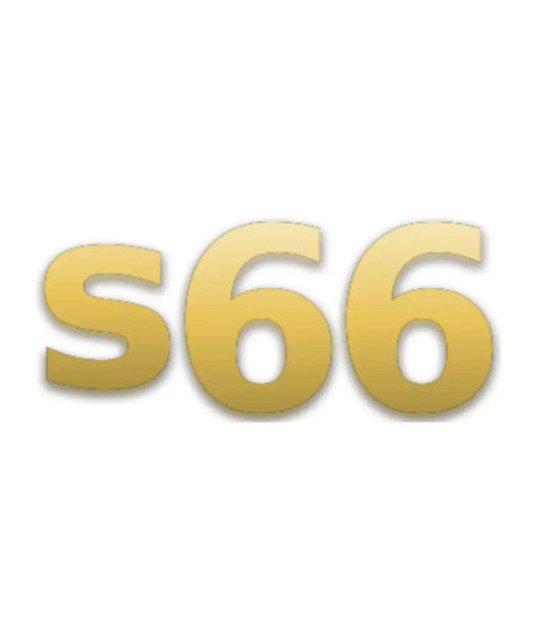 avatar s66bingo