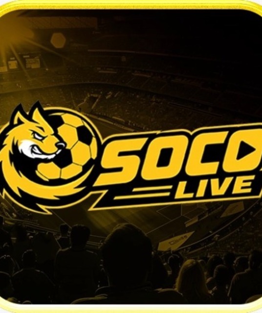 avatar socolive8media