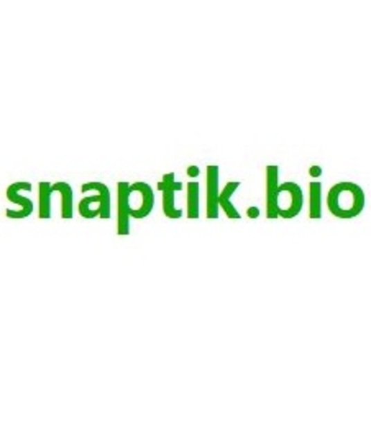 avatar SnapTik – Tải Video TikTok Không Logo