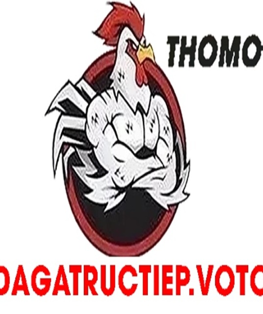 avatar ĐÁ GÀ TRỰC TIẾP VOTO