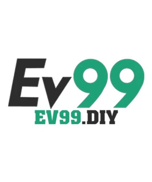 avatar ev99diy