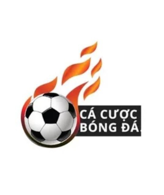 avatar Cá Cược Bóng Đá