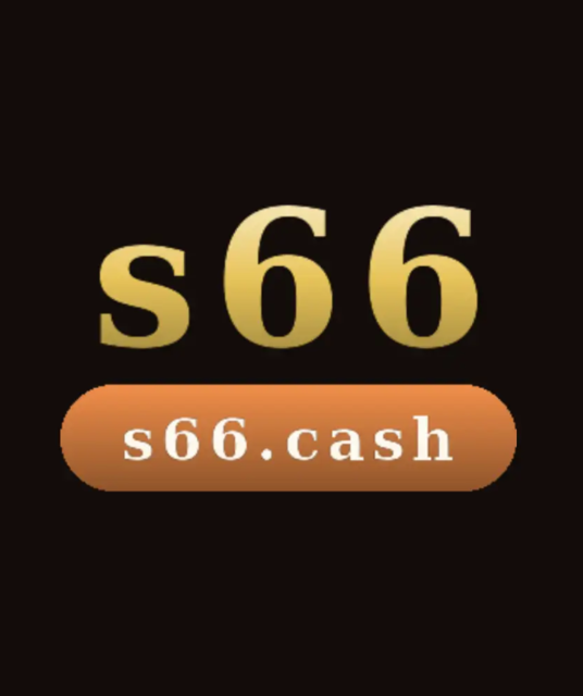 avatar S66 Việt Nam