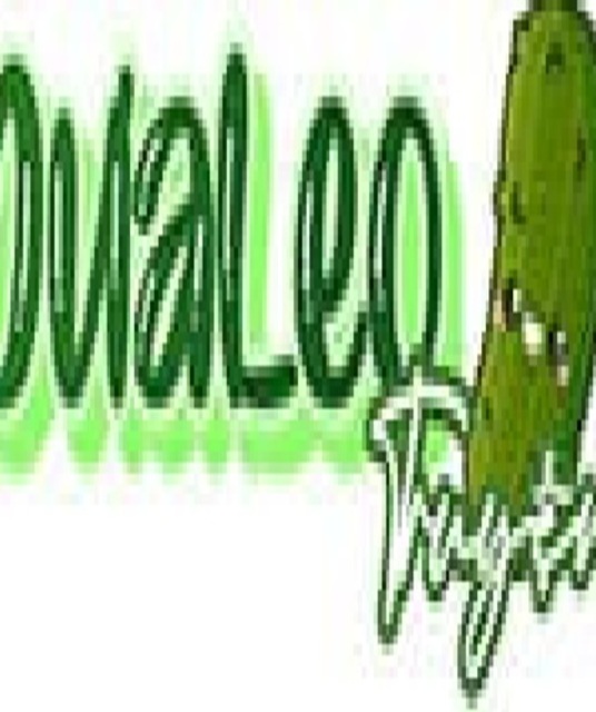 avatar dualeotruyenbg