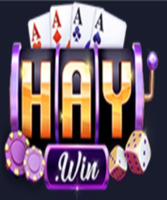 avatar Haywin1 capital