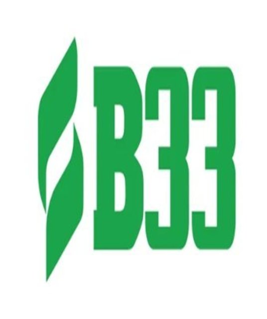 avatar B33