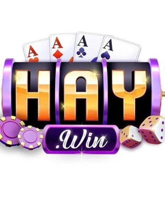 avatar HAYWIN