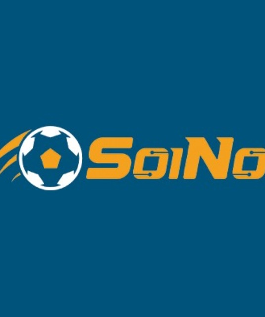 avatar SoiNoi co
