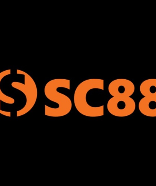 avatar Sc88 ngo