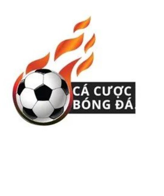 avatar Trang Cá Cược Bóng Đá