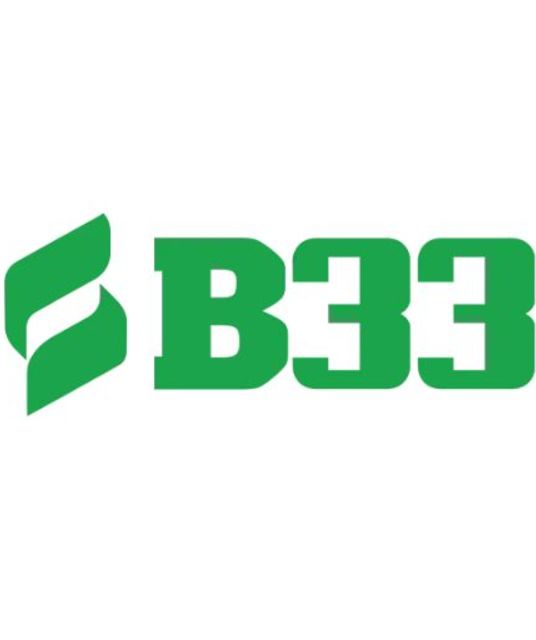 avatar B33