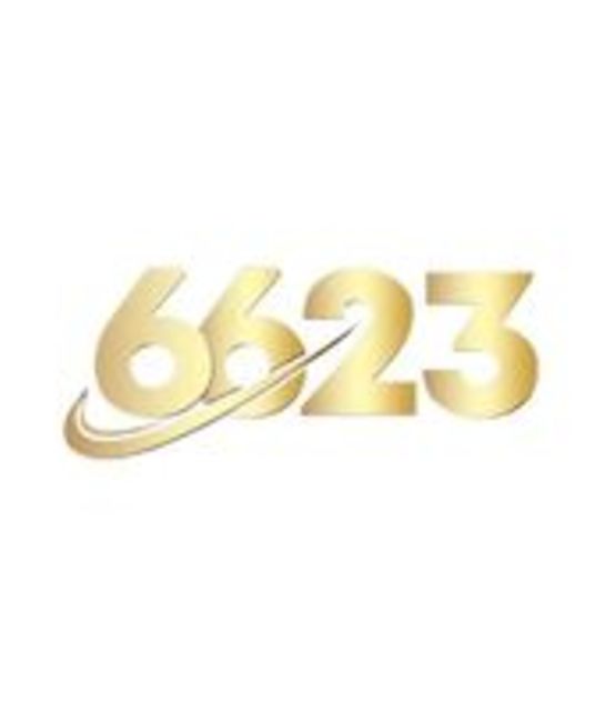 avatar link6623vnnet