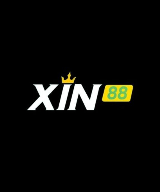 avatar XIN88 