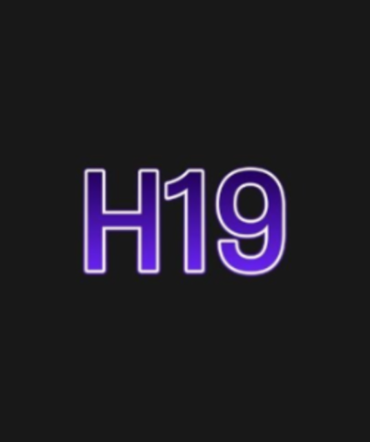 avatar H19