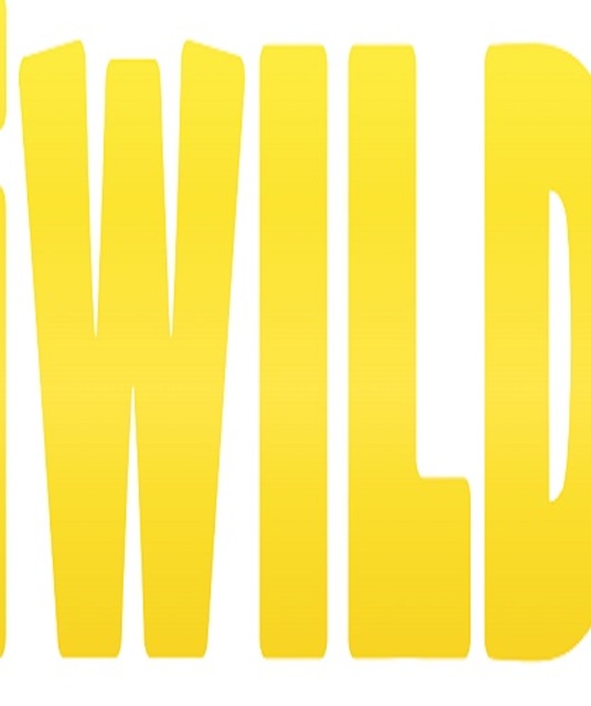 avatar Iwild Casino