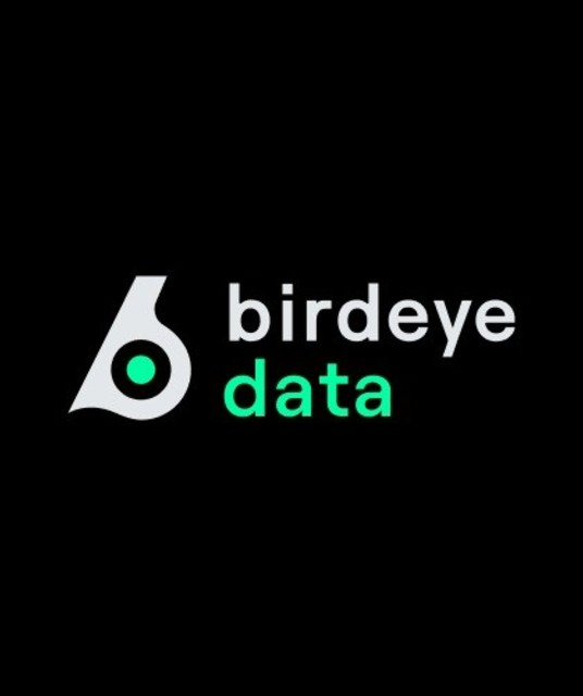 avatar Birdeye Data