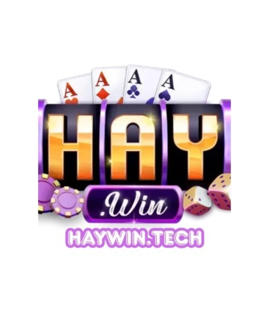 avatar haywintech1