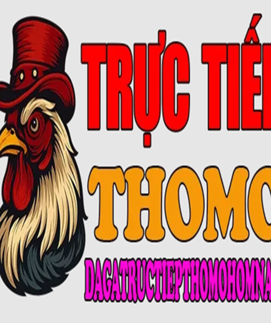 avatar ĐÁ GÀ TRỰC TIẾP THOMO HÔM NAY 