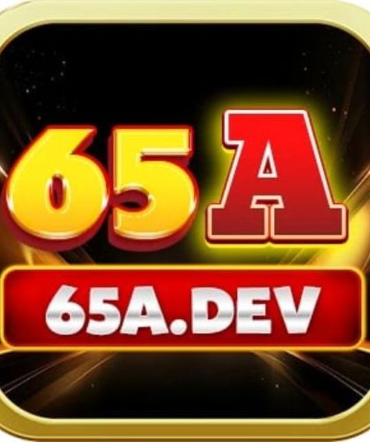 avatar 65A