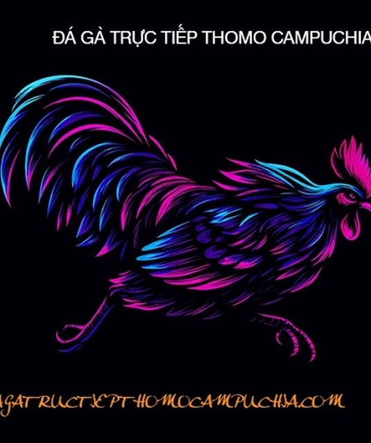 avatar ĐÁ GÀ TRỰC TIẾP THOMO HÔM NAY