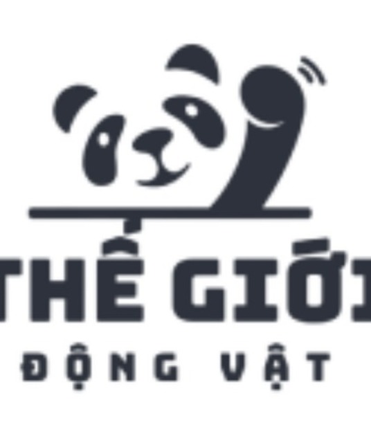 avatar thegioidongvatvn