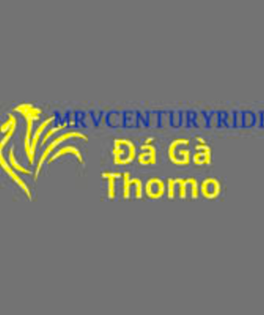 avatar Đá Gà Trực Tiếp Thomo