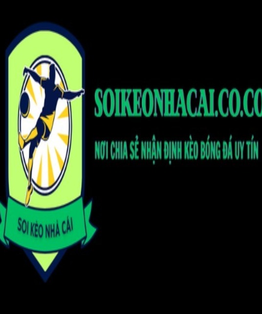 avatar Soikeonhacaicocom