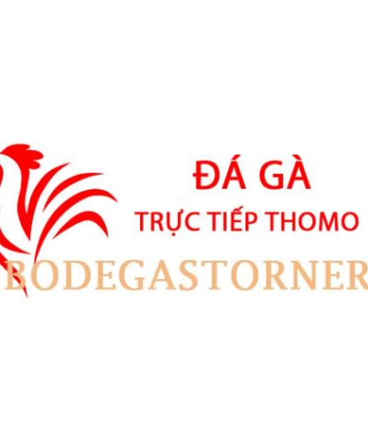 avatar Đá Gà Trực Tiếp Thomo